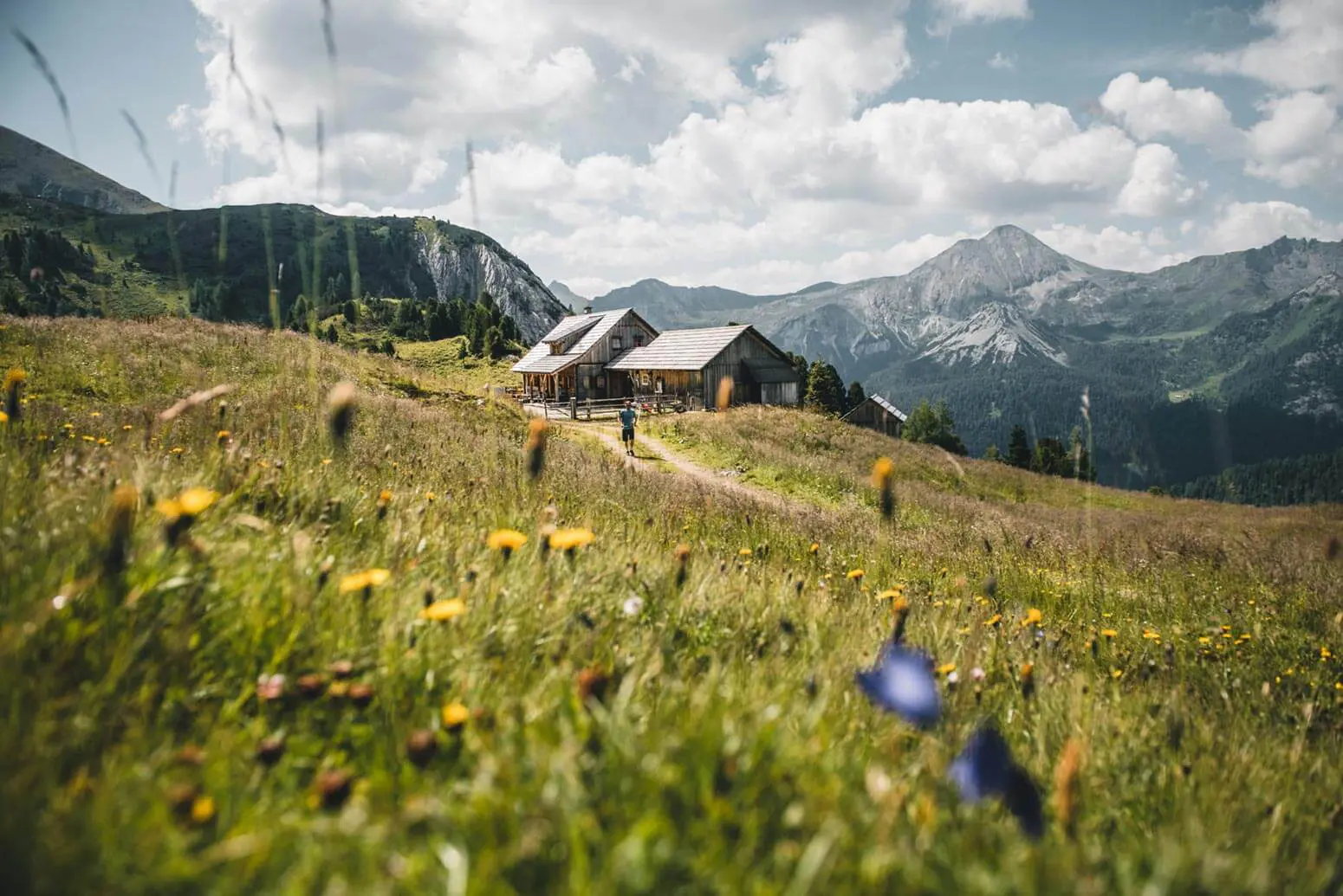 Wandern - Sommerurlaub in Obertauern